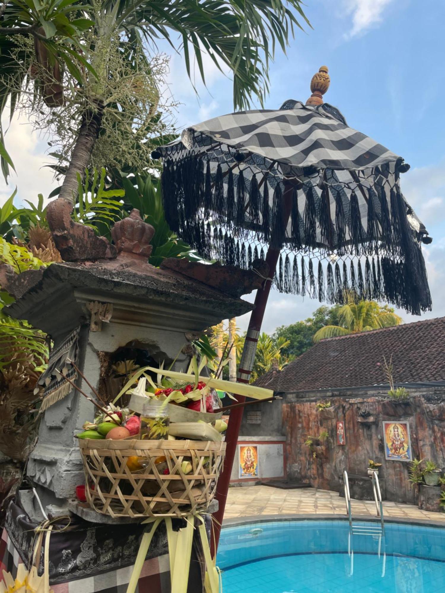Hotel Kubu Elsa Bali Lovina Exterior foto